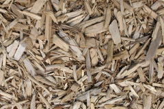 biomass boilers Teeton